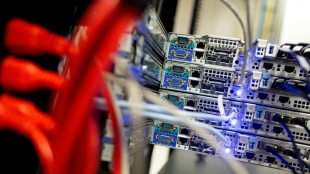 "Spiegel": Im "White Tiger"-Komplex mindestens sechs Todesf&auml;lle 