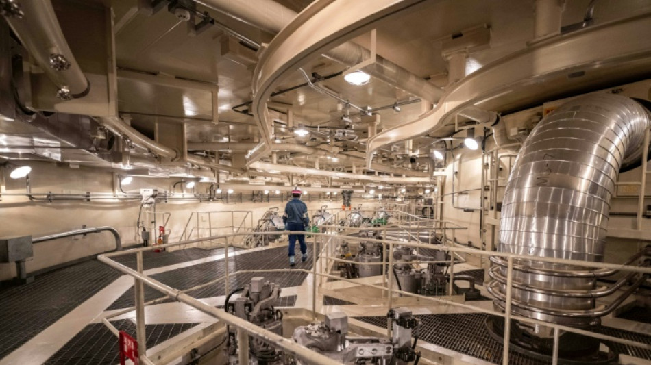 Jap&oacute;n reactiva la central nuclear m&aacute;s grande del mundo