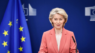 Mercosur: l'UE va appliquer l'accord de fa&ccedil;on provisoire, contre l'avis de la France