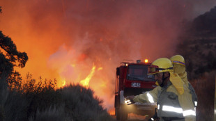 Muore un uomo di 45 anni, quinta vittima dei roghi in Spagna