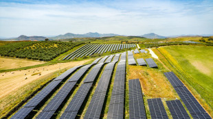 Fotovoltaico, in Italia cresce quello industriale e cala il domestico